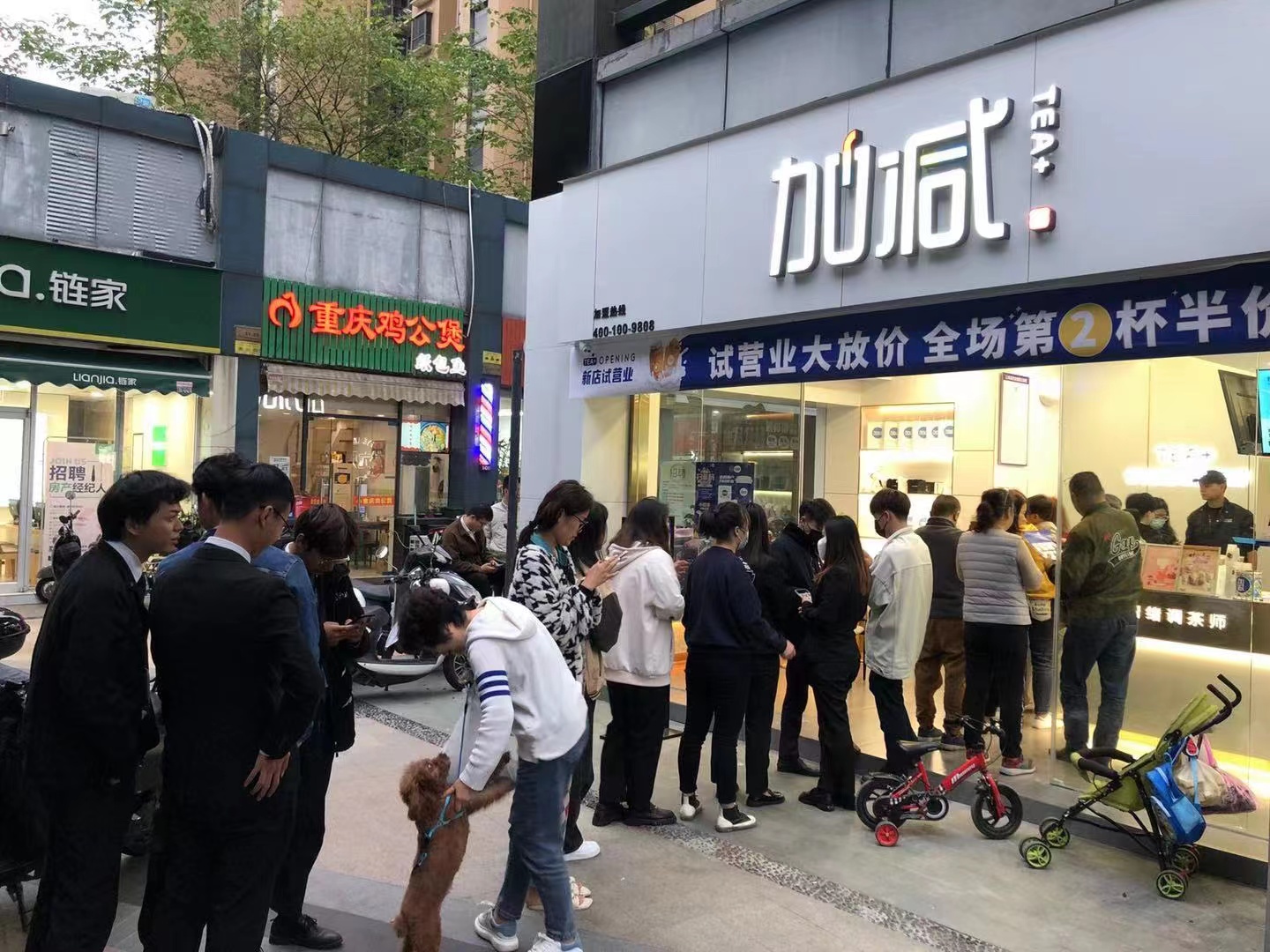 3003新葡的京集团(股份)奶茶加盟店